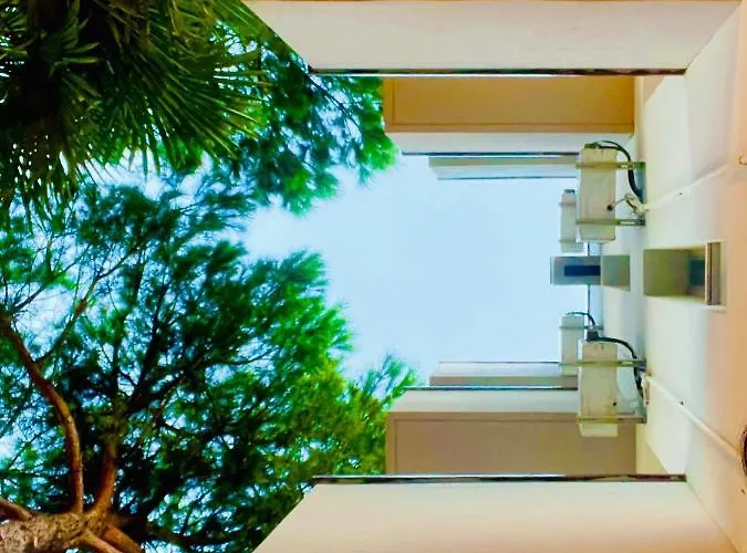 Kiss 3* تْشيزيناتيكو