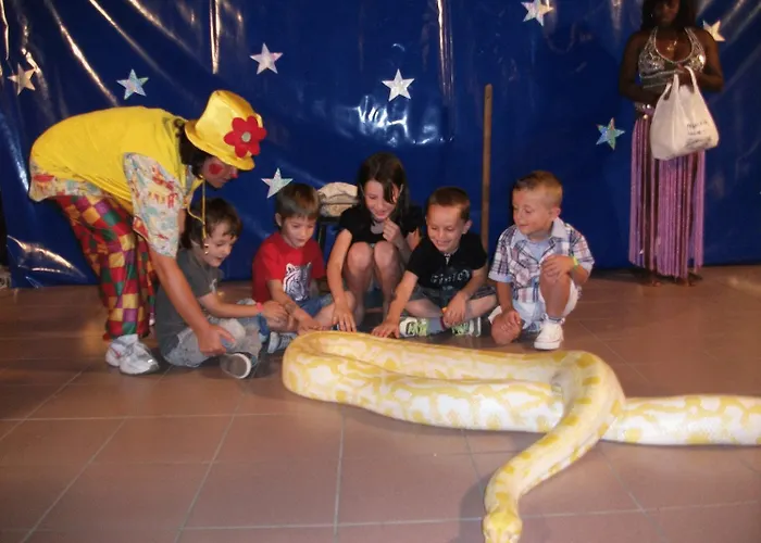 Kiss تْشيزيناتيكو