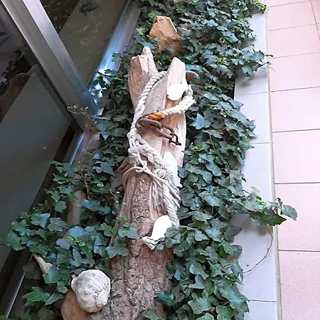Kiss Otel Cesenatico
