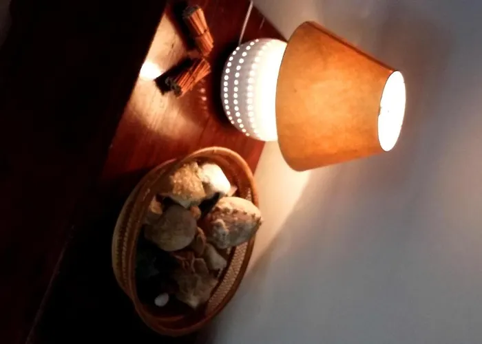 Kiss 체제나티코