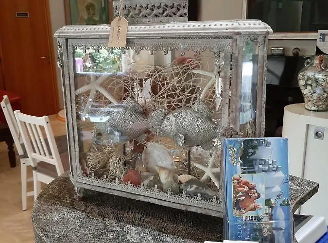 Kiss 3* 체제나티코